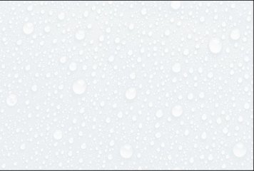 Fish Concept 1 31480-LT-P