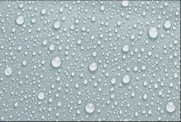 Fish Concept 1 31480-DKP