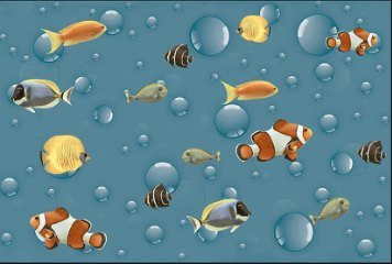 Fish Concept 1 31675-HL-1-B-P