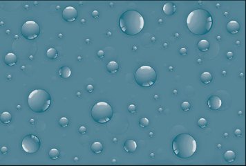 Fish Concept 1 31675-DK-P