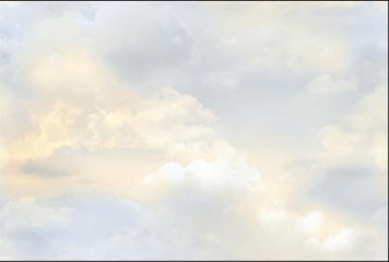 Fish Concept 1 32501-LT-P