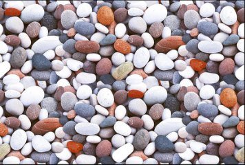 Fish Concept 1 32502-DKP