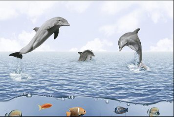 Fish Concept 1 32503-HL-1-P