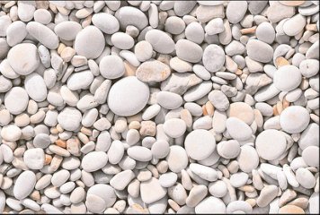 Fish Concept 1 32503-DKP