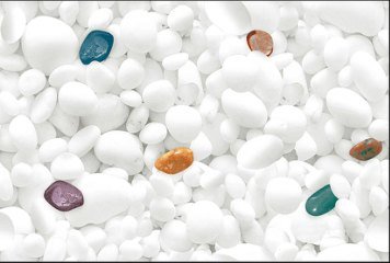 Fish Concept 1 32504-DKP