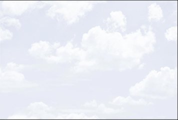 Fish Concept 1 32505-LT-P