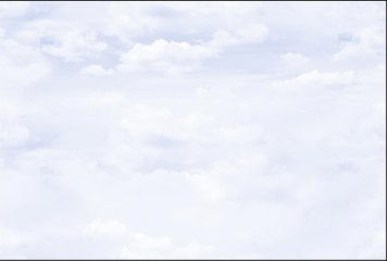 Fish Concept 1 32506-LT-P