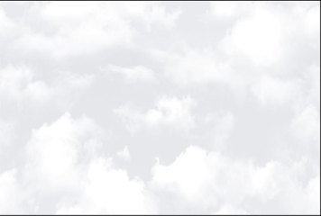 Fish Concept 1 32507-LT-P