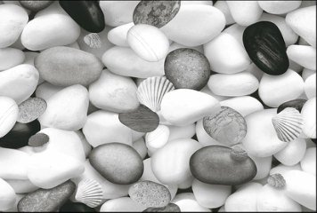 Fish Concept 1 32507-DKP