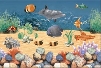 Fish Concept 1 32508-HL-2P