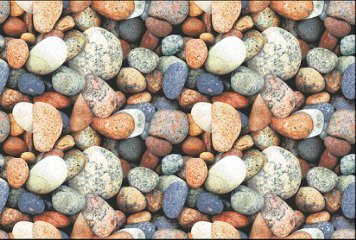 Fish Concept 1 32508-DKP