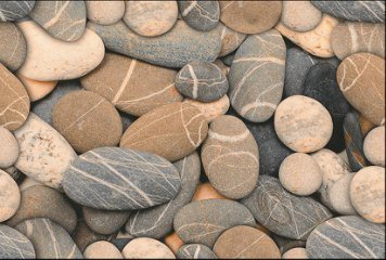 Fish Concept 1 32509-DKP