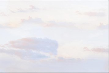 Fish Concept 1 32519-LT-P