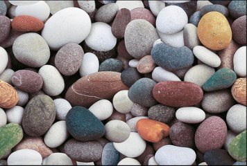 Fish Concept 1 32519-DKP