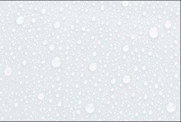 Fish Concept 1 32520-LT-P