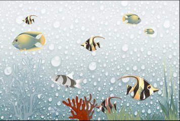 Fish Concept 1 32520-HL-2-P