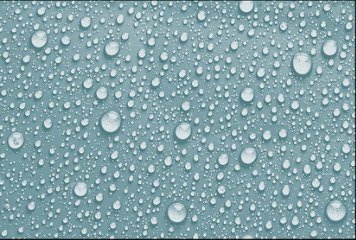 Fish Concept 1 32520-DKP