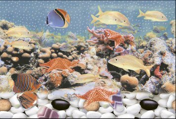 Fish Concept 1 32522-HL-2-P