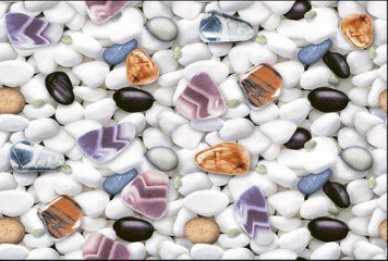 Fish Concept 1 32522-DKP