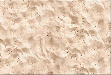 Fish Concept 1 32523-DKP