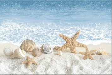 Fish Concept 1 32524-HL-1-P