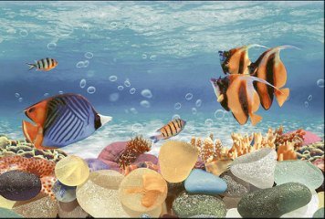 Fish Concept 1 32525-HL-2P