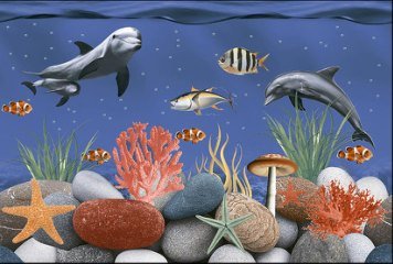 Fish Concept 1 32528-HL-2P