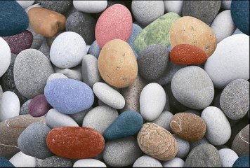 Fish Concept 1 32528-DKP