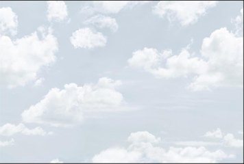 Fish Concept 1 32530-LT-P