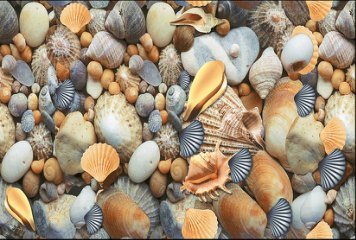 Fish Concept 1 32530-DKP