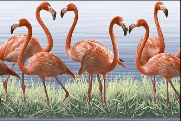 Fish Concept 1 32532-HL-1-P