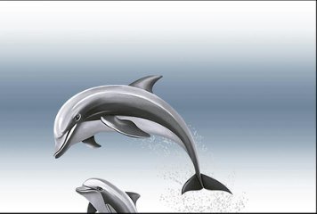 Fish Concept 1 32536-HL-1-P