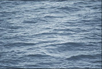 Fish Concept 1 32536-DKP