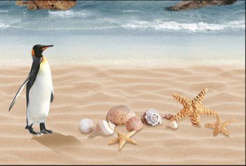 Fish Concept 1 32537-HL-2-P