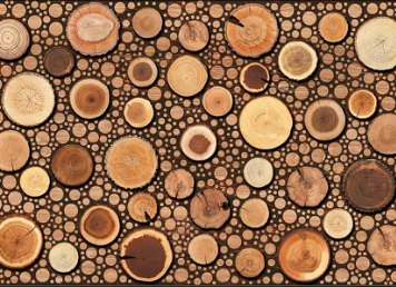 Glossy Elevation 1 EL-36081-718