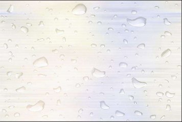 Glossy Series 1 31065-LT-P