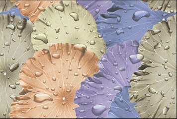 Glossy Series 1 31065-HL-1-P