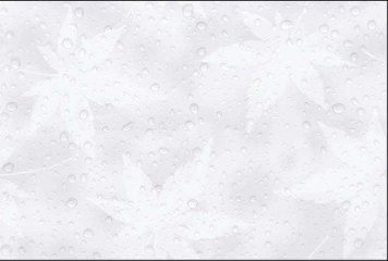 Glossy Series 2 31149-LT-P