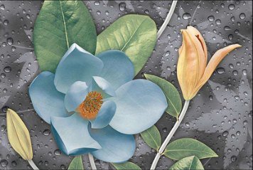 Glossy Series 2 31149-HL-1-P