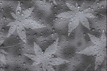 Glossy Series 2 31149-DKP