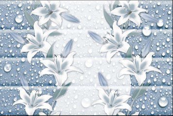 Glossy Series 2 31163-HL-1-701