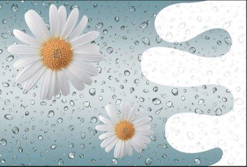 Glossy Series 3 31213-HL-1-P