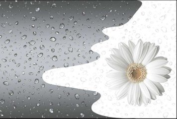 Glossy Series 3 31215-HL-1-P