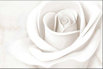 Glossy Series 3 31218-HL-1-P