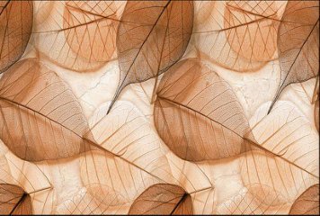 Glossy Series 3 31219-HL-1-P