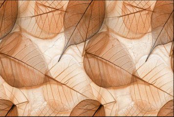 Glossy Series 3 31219-HL-1-P