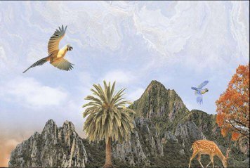 Glossy Series 5 31404-HL-1-P