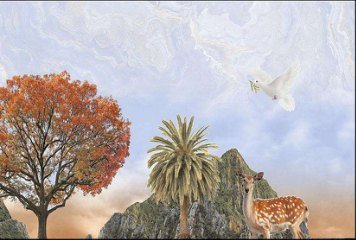 Glossy Series 5 31404-HL-2-P