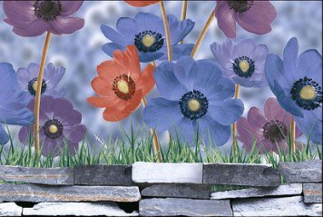 Glossy Series 8 31657-HL-1-B-P