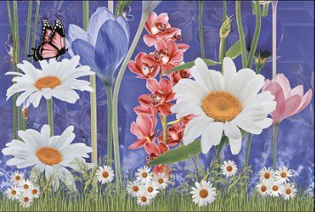 Glossy Series 8 31663-HL-1-B-P